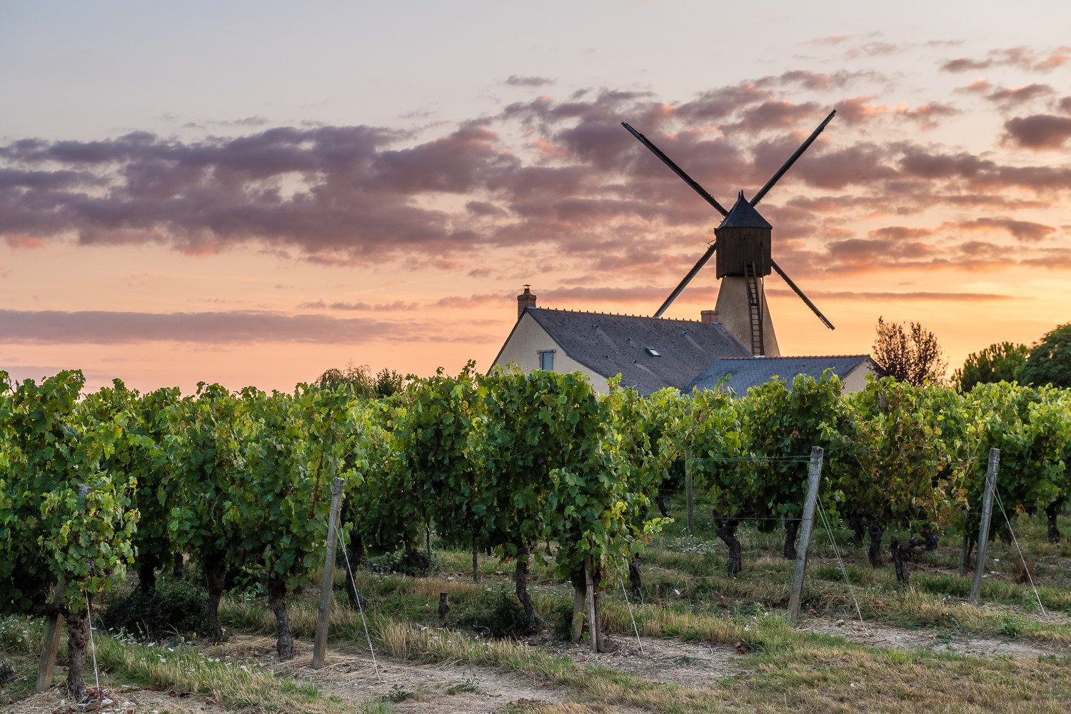 AG à Faye d'Anjou